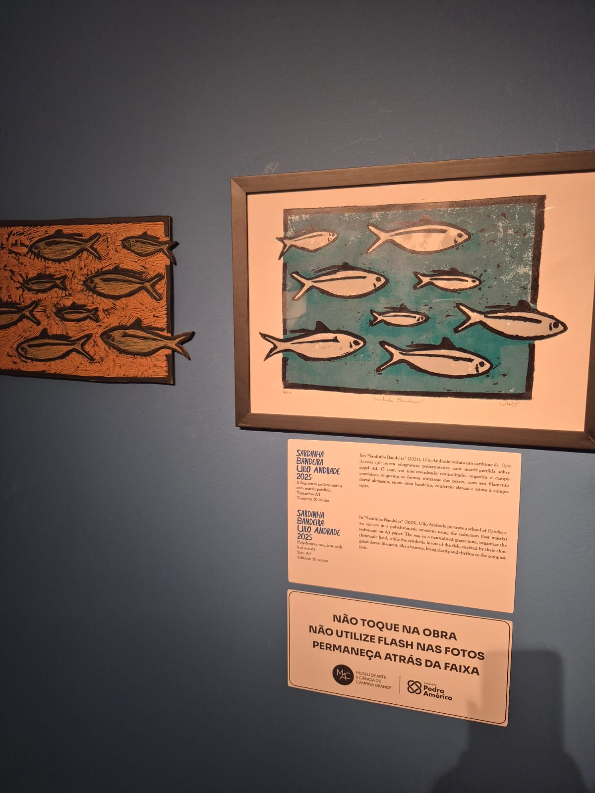 Museu de Arte e Ciência de Campina Grande Acardumado o mar chegou ao interior da Paraíba Museu de Arte e Ciência de Campina Grande Imagem: Fampress Abrajet PBTur