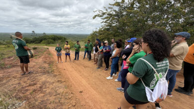 Projeto Curica alia recuperação ambiental e protagonismo indígena na Aldeia Três Rios, em Marcação.