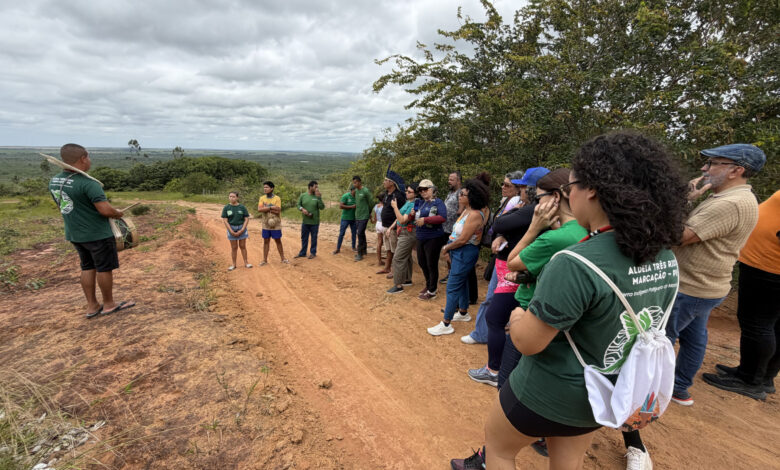Projeto Curica alia recuperação ambiental e protagonismo indígena na Aldeia Três Rios, em Marcação.