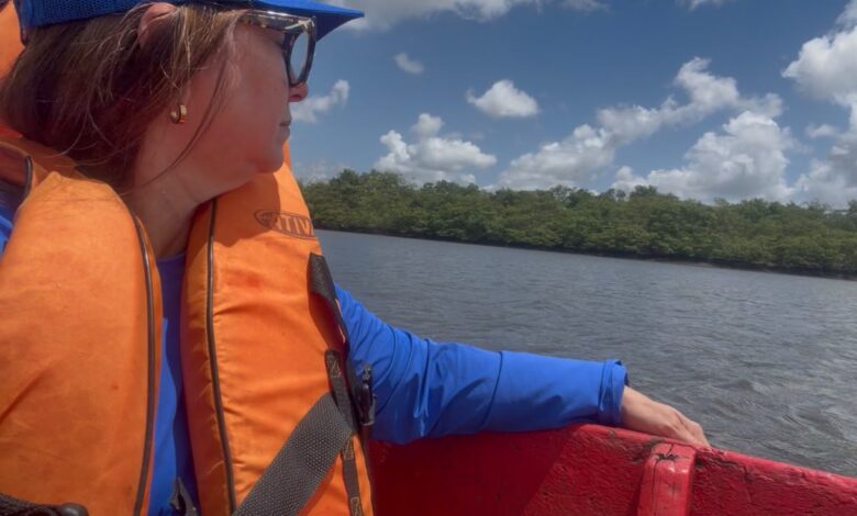 Ilha do Aritingui estrutura turismo de base comunitária e abre experiências aos visitantes Ana Célia Macêdo Minuto Turismo