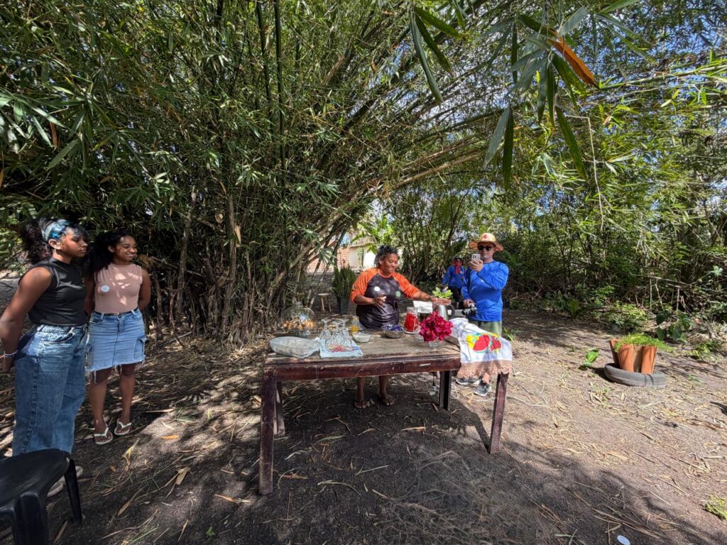 Ilha do Aritingui estrutura turismo de base comunitária e abre experiências aos visitantes Ana Célia Macêdo Minuto Turismo