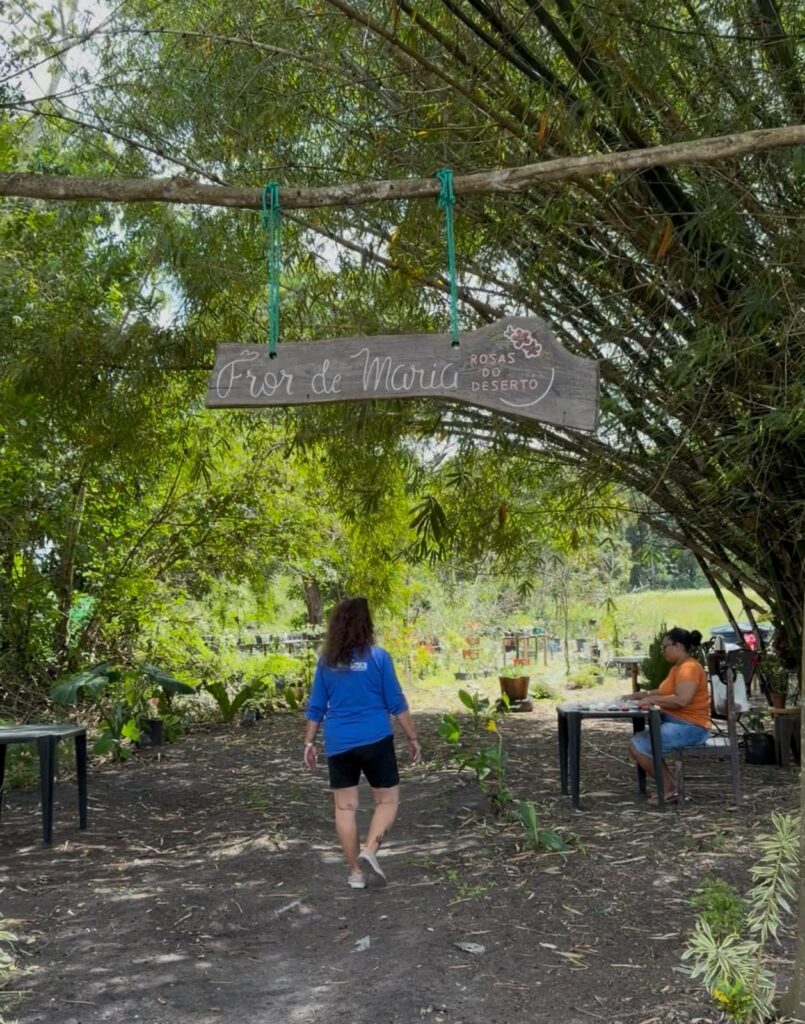 Ilha do Aritingui estrutura turismo de base comunitária e abre experiências aos visitantes / Ana Célia Macêdo Minuto Turismo