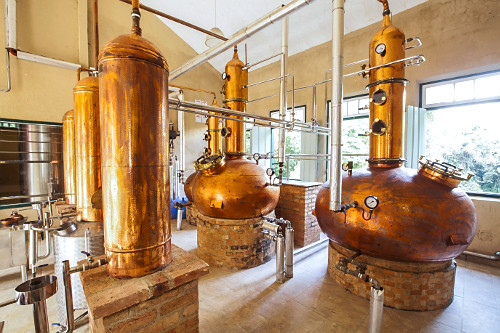 Alambique mostra inovação na produção de cachaça no Brasil